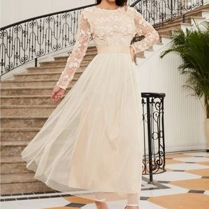 SHEIN Belle Zipper Back Applique Detail
Sheer Mesh Overlay Dress - NEVER WORN